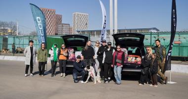  Целая тонна добра. Как владельцы JAECOO J6 спасали хвостатых