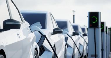 Продажи Tesla в Европе падают уже 13 месяцев. BYD перехватывает инициативу