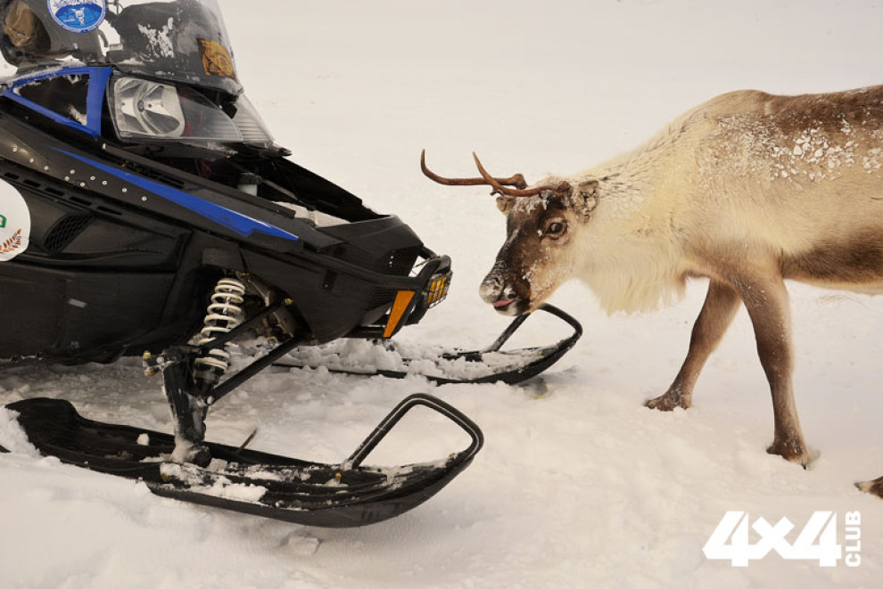 Из Оби в Енисей