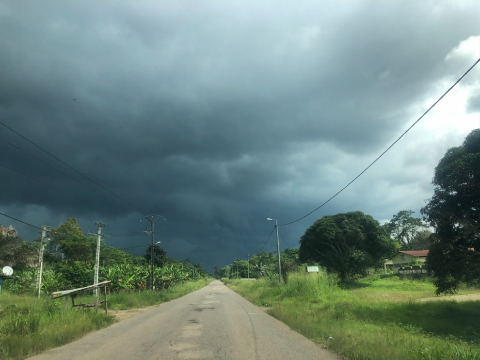 Вокруг света с Алексеем Камерзановым. Габон