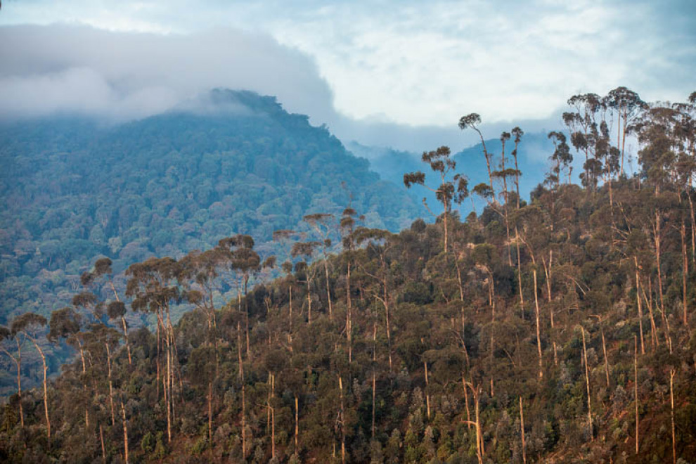 Кругосветное путешествие Алексея Камерзанова  Руанда — Бурунди. Африка