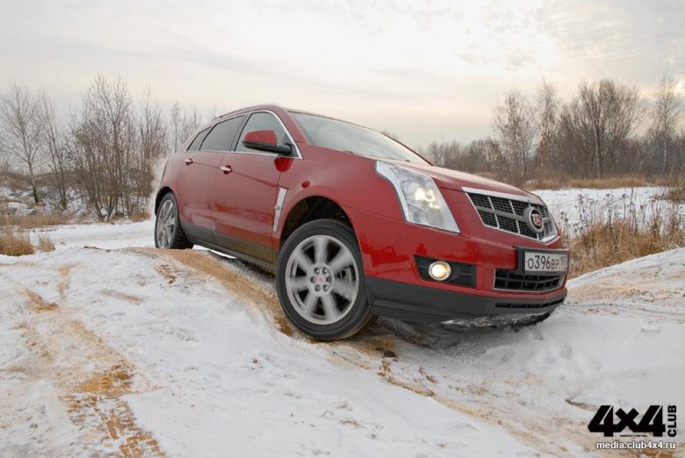 Дорестайлинговый Cadillac SRX второго поколения (2010-2013). Умеренно популярен и вполне надёжен