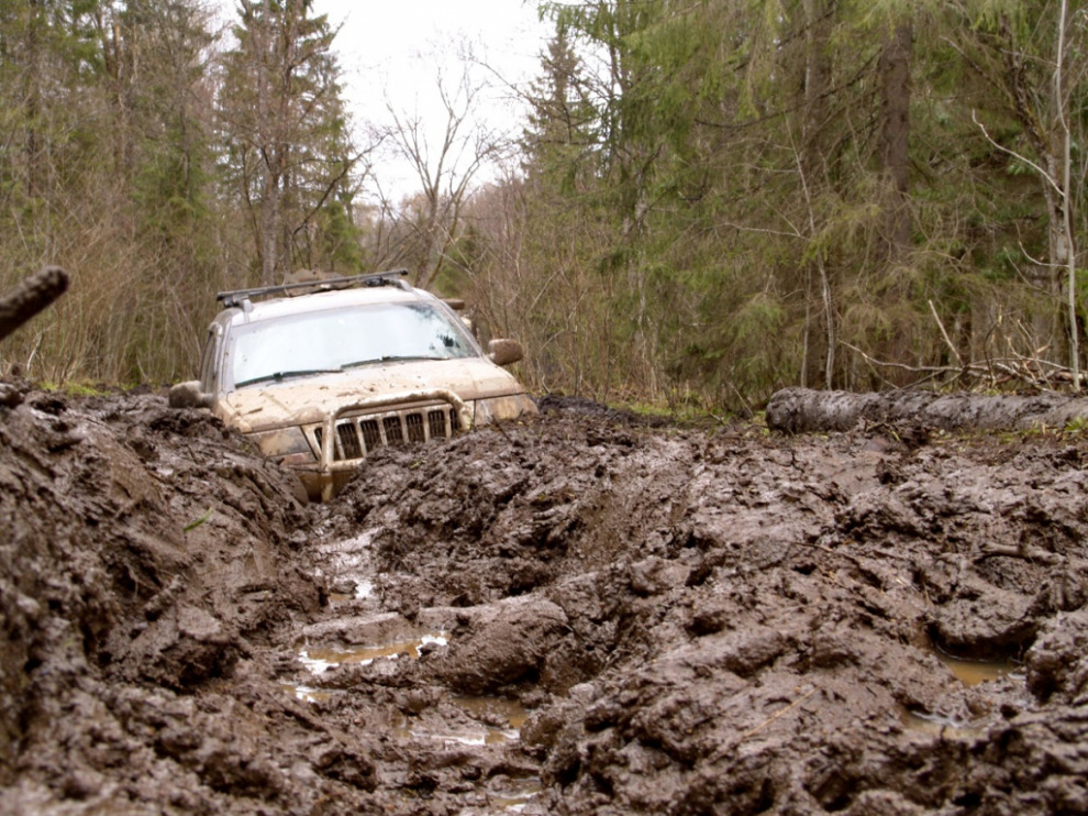 Занимательная грунтология. Какие типы грунтов существуют и чем отличаются