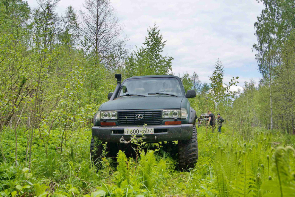 Офф-роуд класса «люкс». А вы думали, что из Lexus не построить вездеход?