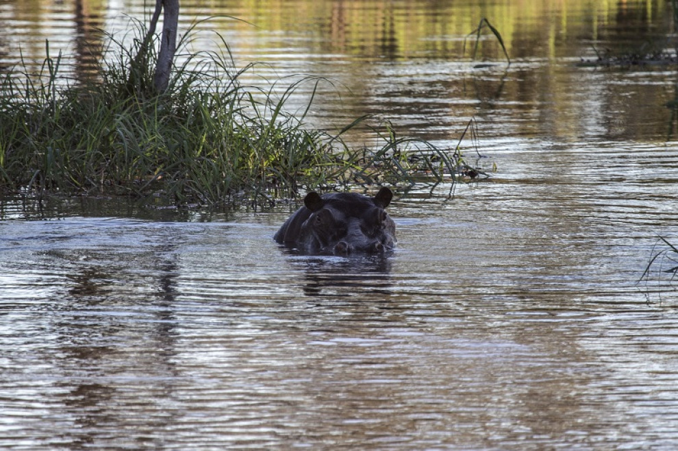 Кругосветное путешествие Алексея Камерзанова. Ботсвана