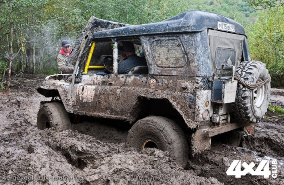 "Вепсский Лес 2016" не состоится