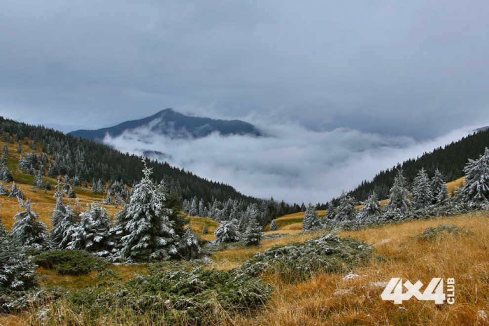 Карпатское бездорожье труднопроходимо, и трудности начинаются уже на границе