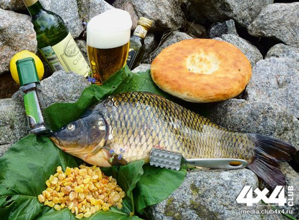 Изысканная кулинария путешественника. Карп в пиве