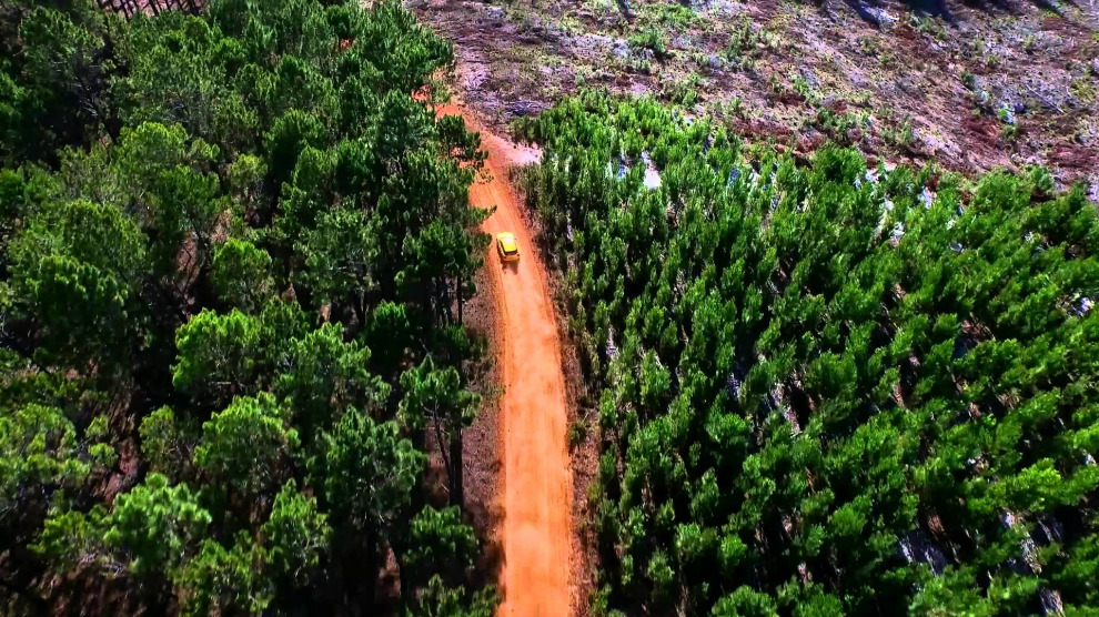 Audi дразнит видеотизером нового Q