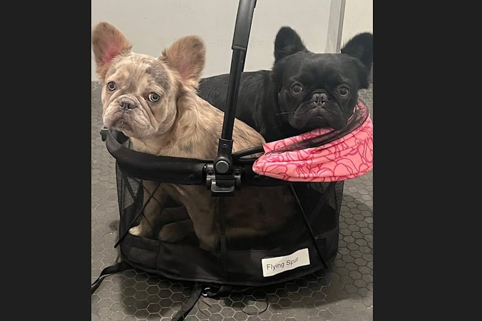 Уточнение: кто-то троллил Bentley от имени Rolls-Royce. Но это не Rolls-Royce