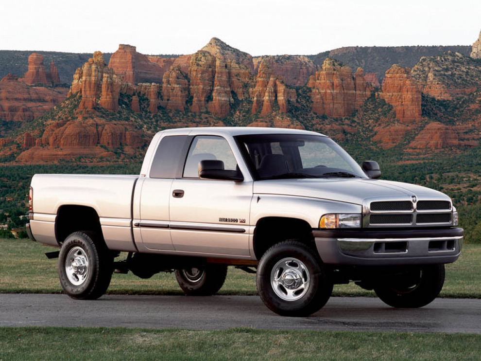 Архар по имени Dodge