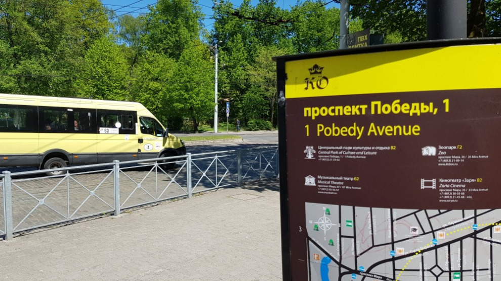 Hyundai Solaris – самый популярный прокатный автомобиль у туристов в Калининграде