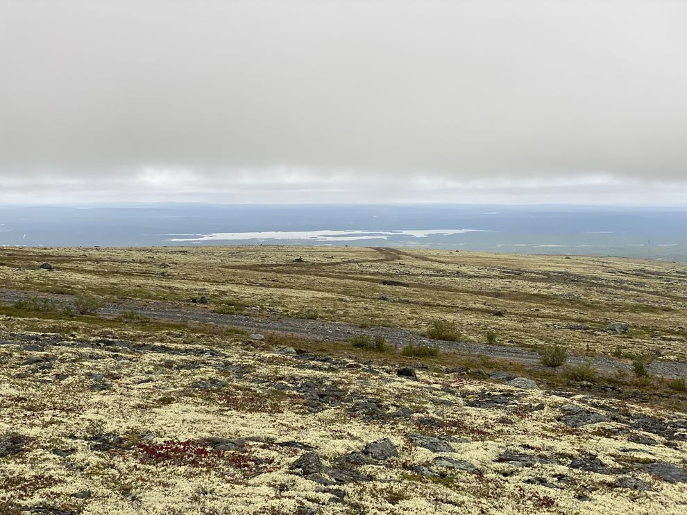 Умеренно-краеведческая экспедиция на Кольский полуостров. Часть IV. Мурманск