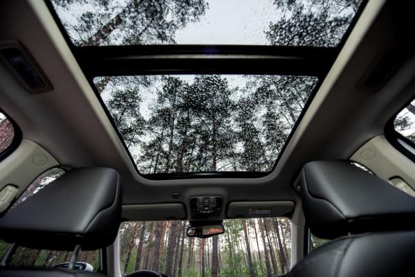 Изображение 0