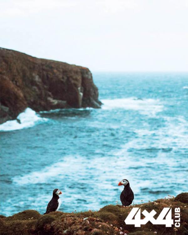 Изображение 0