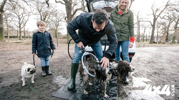 Изображение 4