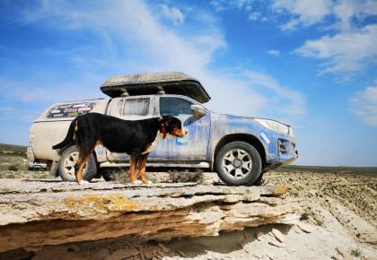 Лучший попутчик. Правила путешествия с собакой