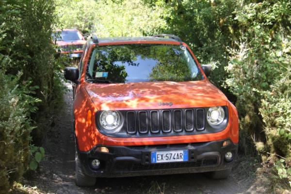 Изображение 11