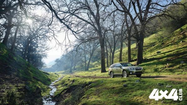 Изображение 0