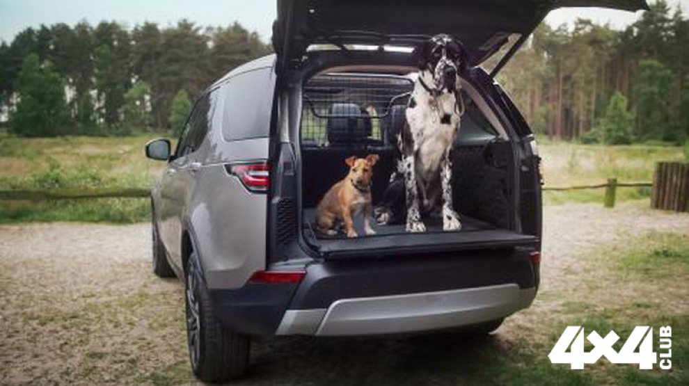 Land Rover будут оснащать внедорожники душем для собак
