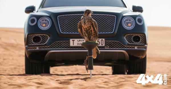 Изображение 13