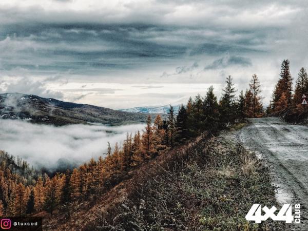 Изображение 3