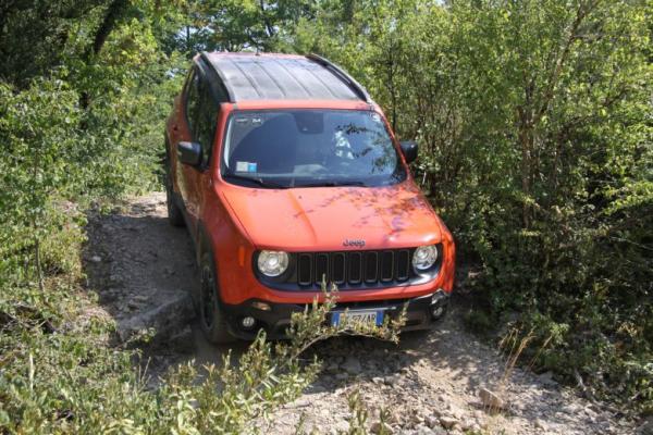 Изображение 13