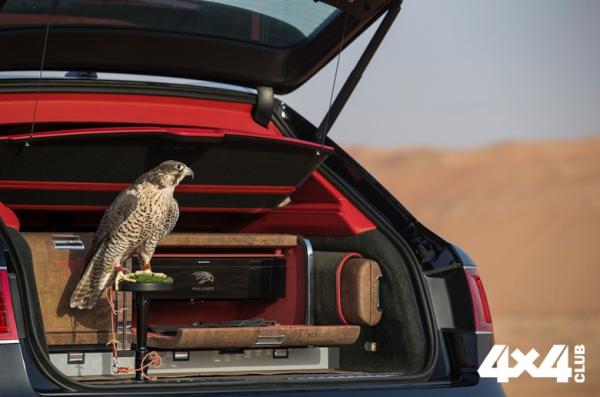 Изображение 7