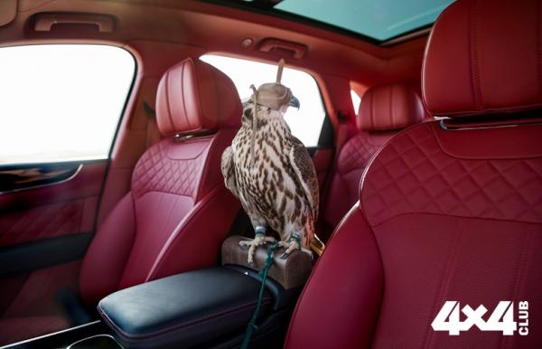 Изображение 8