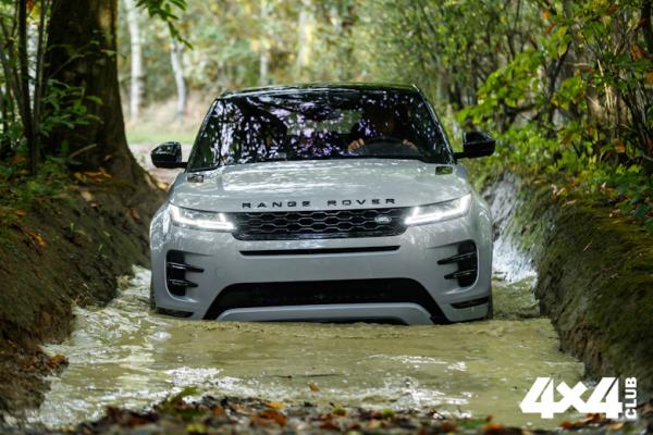 Изображение 0