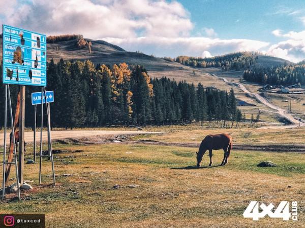 Изображение 9