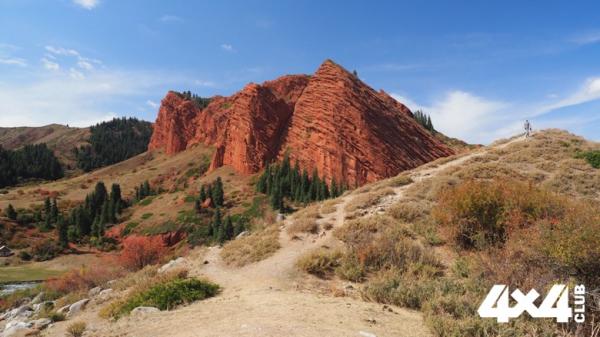 Изображение 7