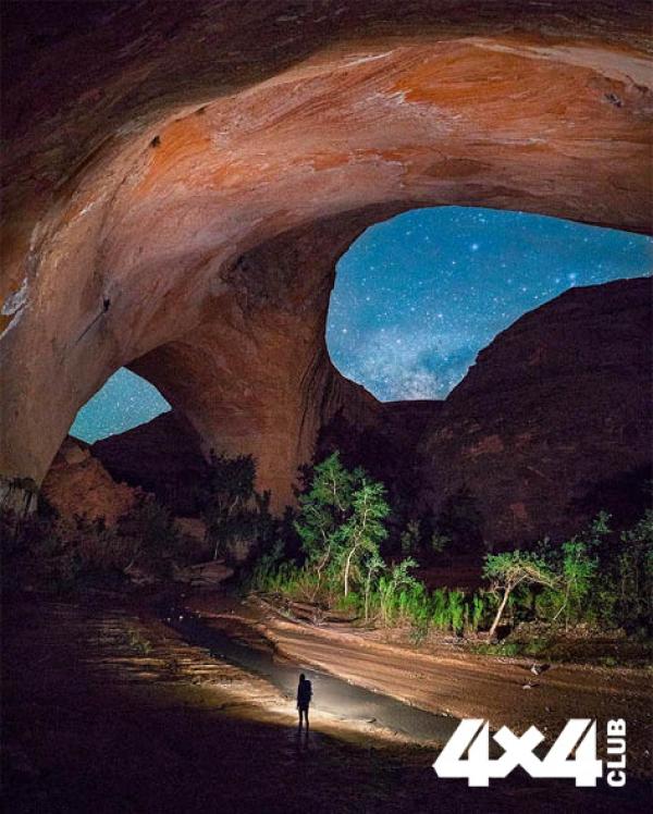 Изображение 0