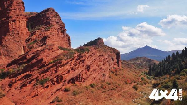 Изображение 6